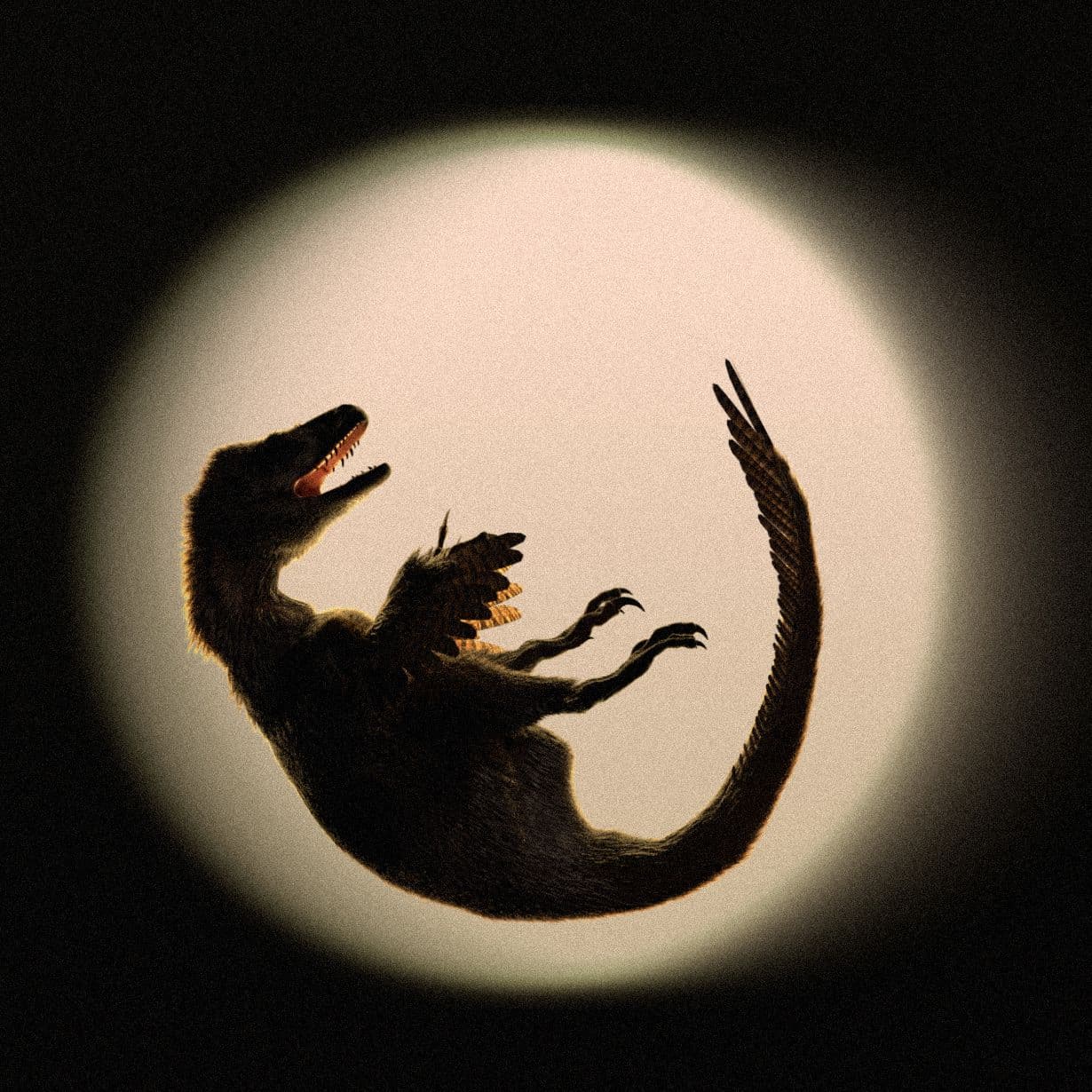 András Cséfalvay 