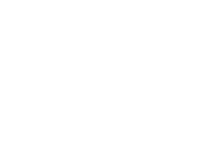 Polsky institut