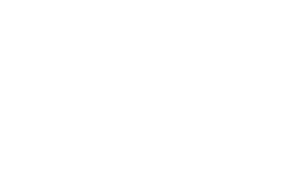 VSE