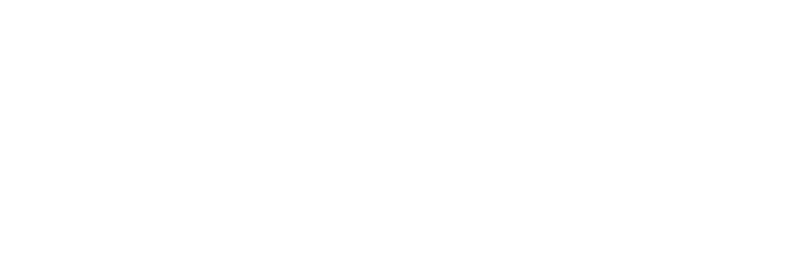 rakusky insitut